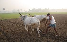  government gave huge amount to sugar industry
