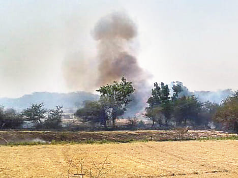 forest caught fire