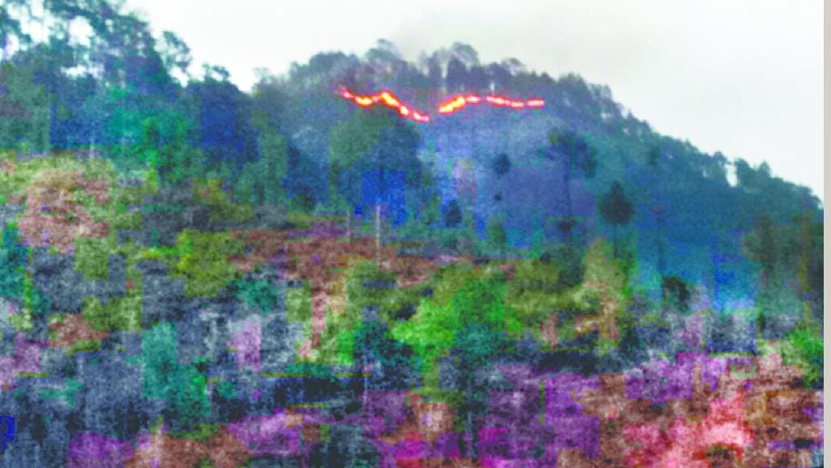 Even after 20 hours, there was no fire in the forest