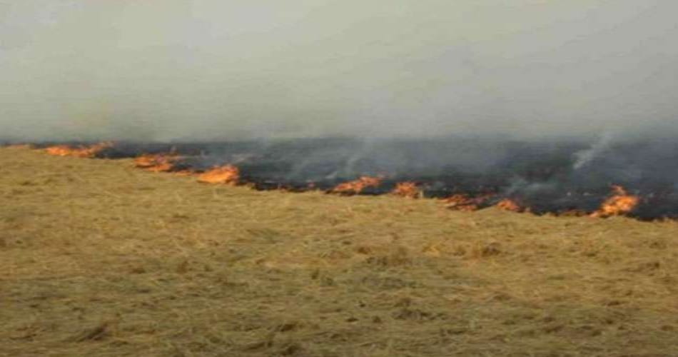 Air Pollution in Delhi-NCR, Stubble burning by farmers, What is AQI, Today's AQI Report