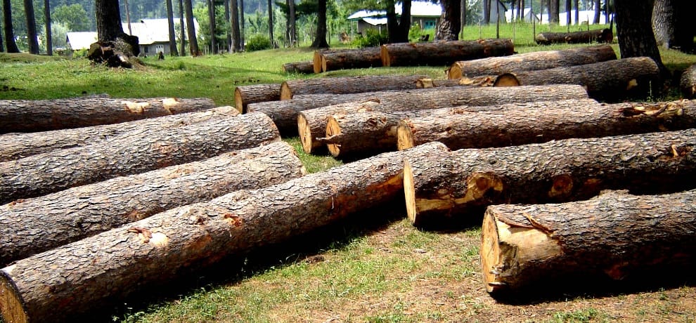 himachal govt nod for cutting of trees