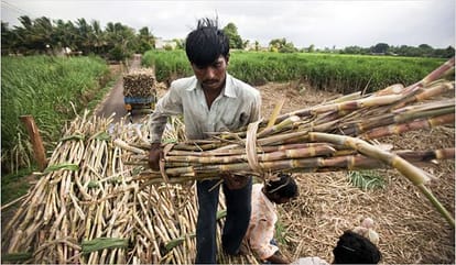 government gave huge amount to sugar industry