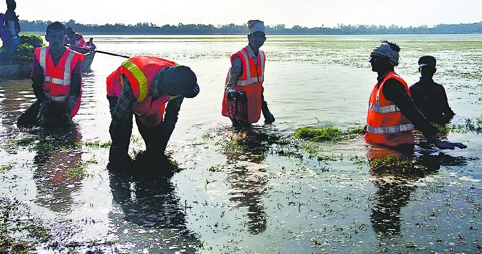 sukhna lake chandigarh in dryness stage