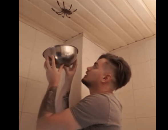 a boy tries to trap a spider, what happens next is really funny