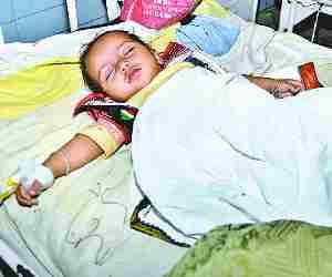 Heat increases no of patients