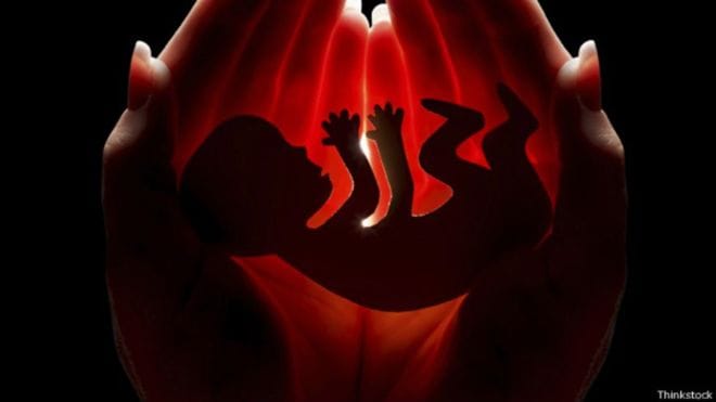 Jharkhand: Who has thrown the 14-embryo in the sack