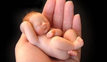 Jharkhand: Who has thrown the 14-embryo in the sack
