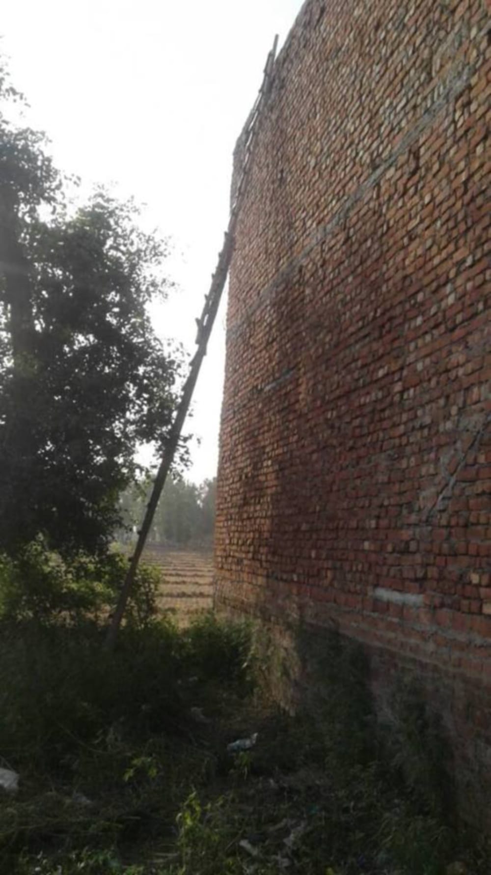 Miscreants murdered and looted in udhamsingh nagar