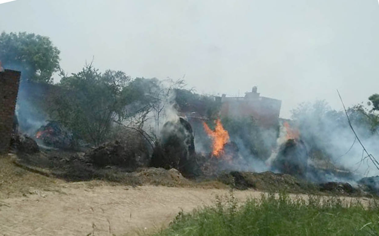 Four bigha reed burns from spark.
