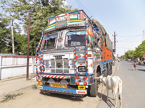 jaanavaron kee khaal lada trak pakada
