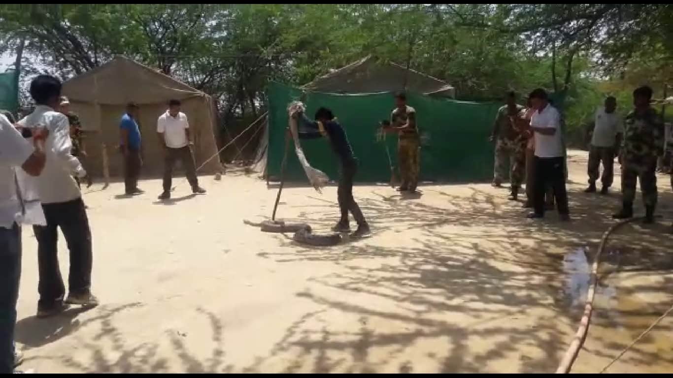 वृंदावन