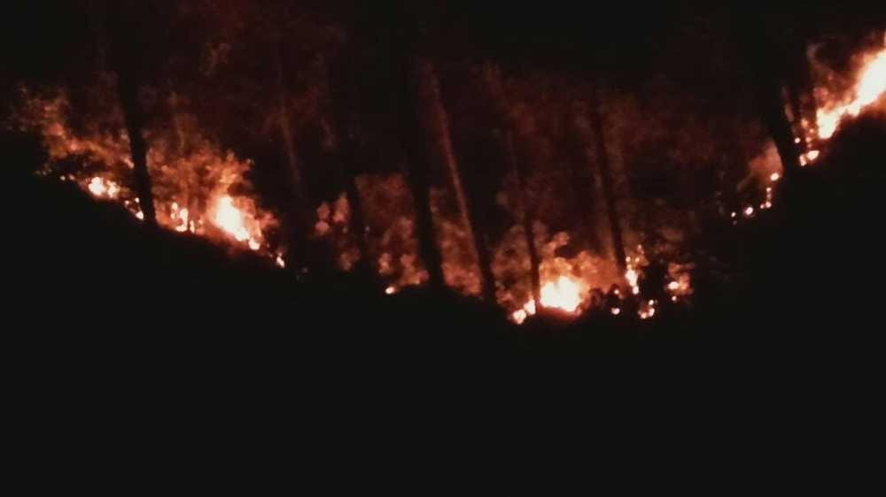 wildfire in srinagar forest