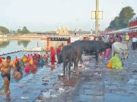 Thousands of travelers are unaware of the arrangement of pilgrims with KDB, Kurukshetra