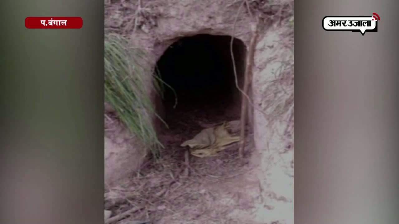 नई दिल्ली भारत-बांग्लादेश सीमा पर सुरंग