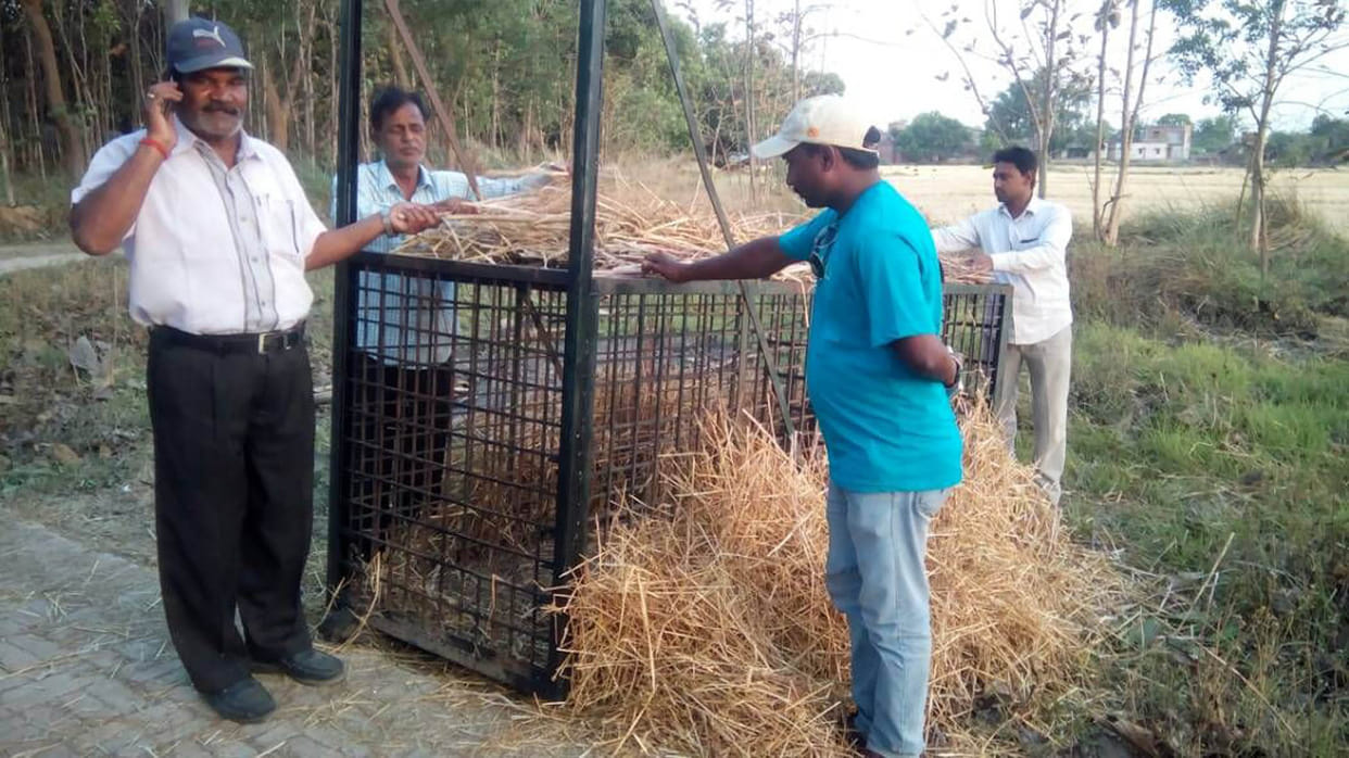 Cage kept between Zanqaul and Barwat village by changing the place