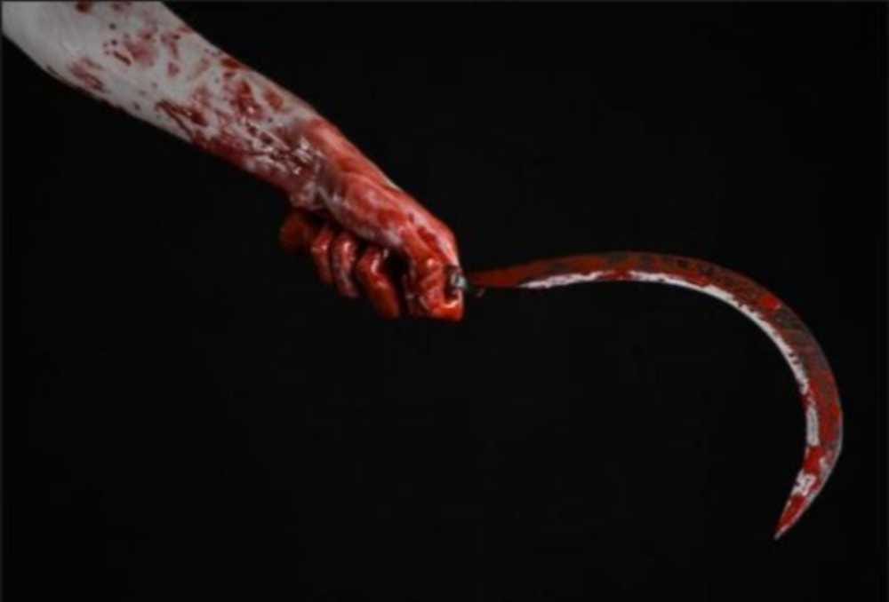 Brother attack with weapon to sister