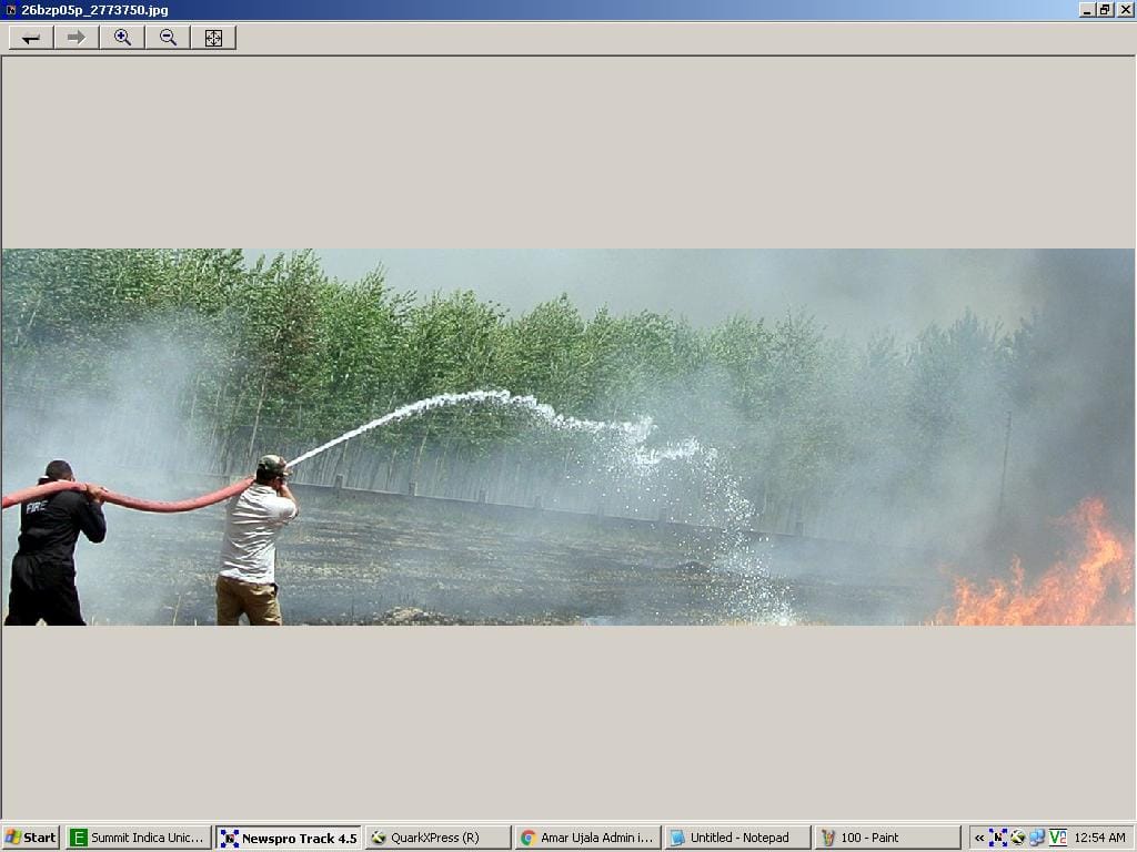 wheat crop ruined by fire