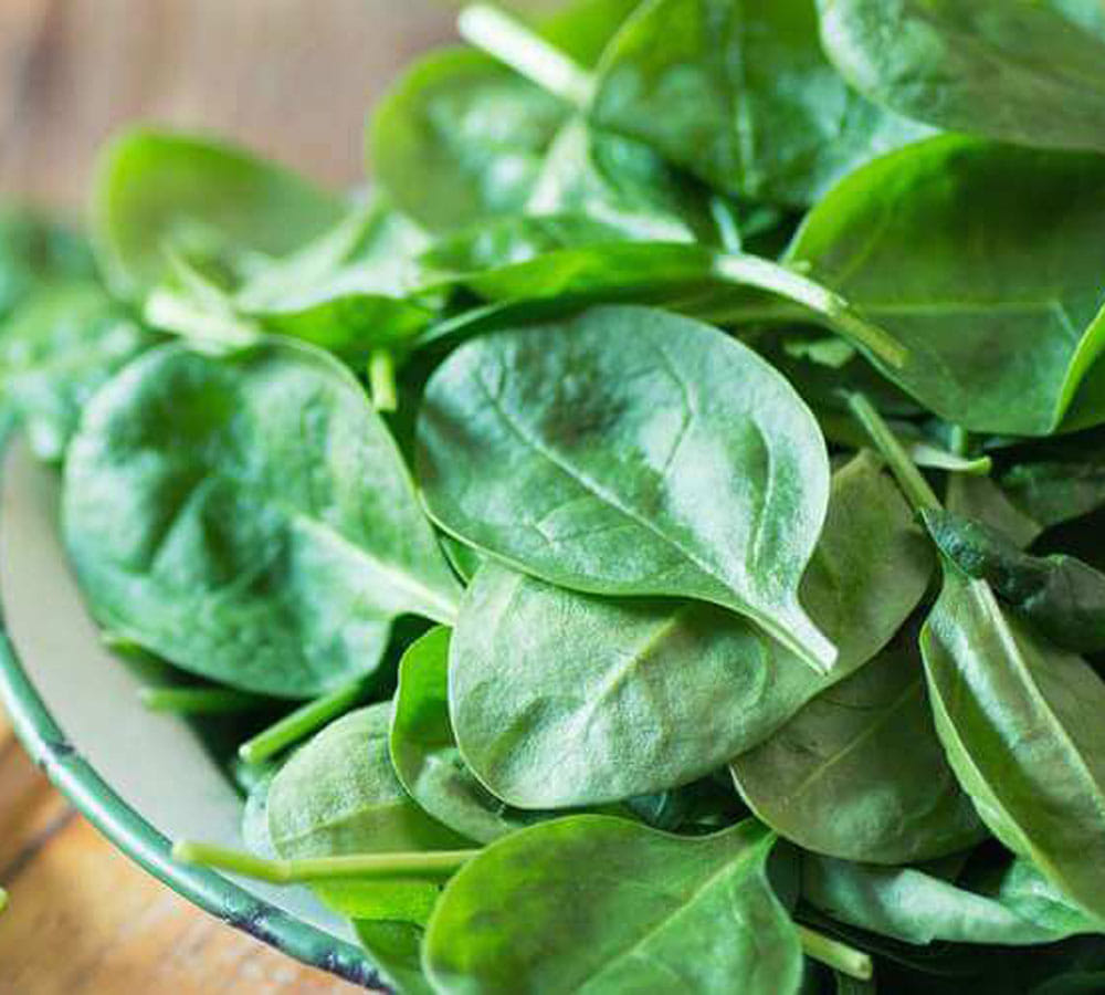 these super foods will keep you fresh in summers 