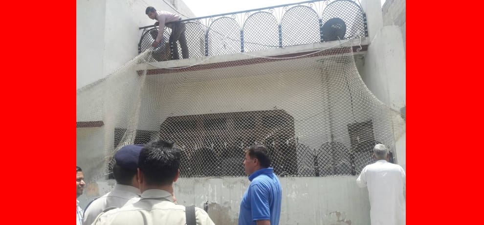 leopard entered house, one person injured