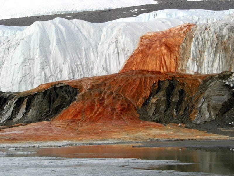 100-year-old mystery of Antarctica's Blood Falls has been solved
