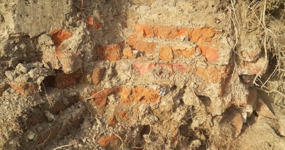 Rigvedic era remnants bricks wall found during pond digging in sonipat village of haryana