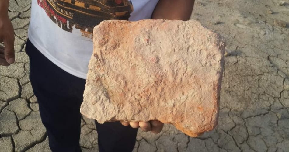 Rigvedic era remnants bricks wall found during pond digging in sonipat village of haryana