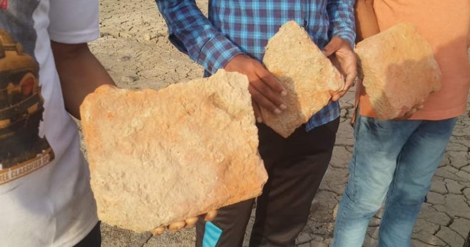Rigvedic era remnants bricks wall found during pond digging in sonipat village of haryana