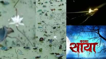 डेमो पिक