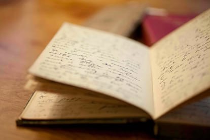 Love couple suicide in forest leave a diary