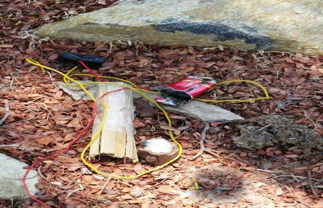 ssb found six kg id at gaya, make defuse
