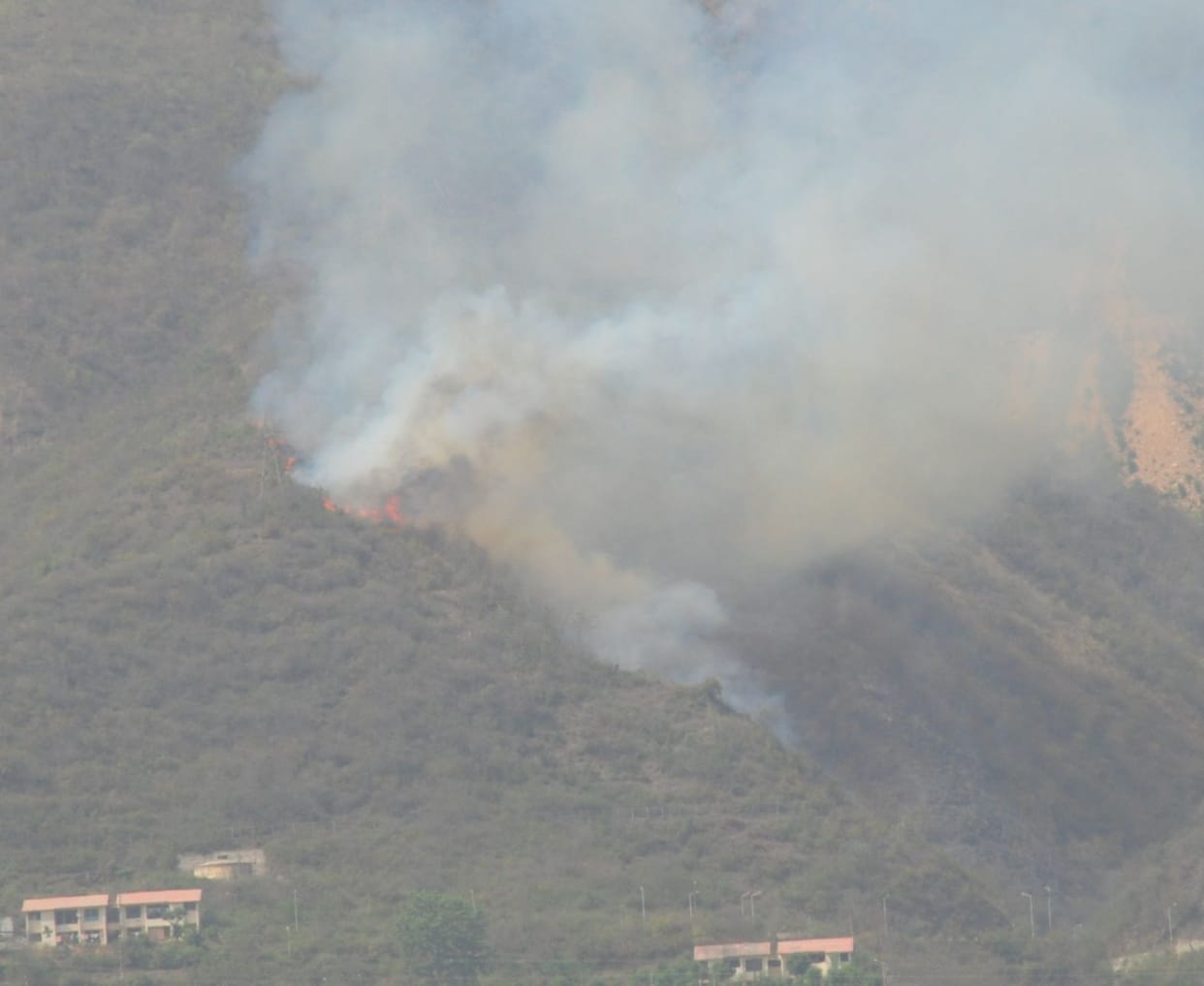 Fourth, fire in the jungles of Hiansaria