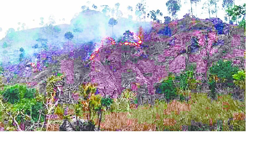 Fire in Machir, Bhingara, Maadha and Badoli forests