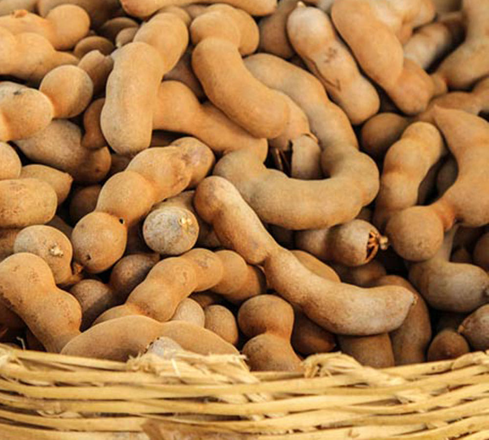 tamarind is beneficial for your health 