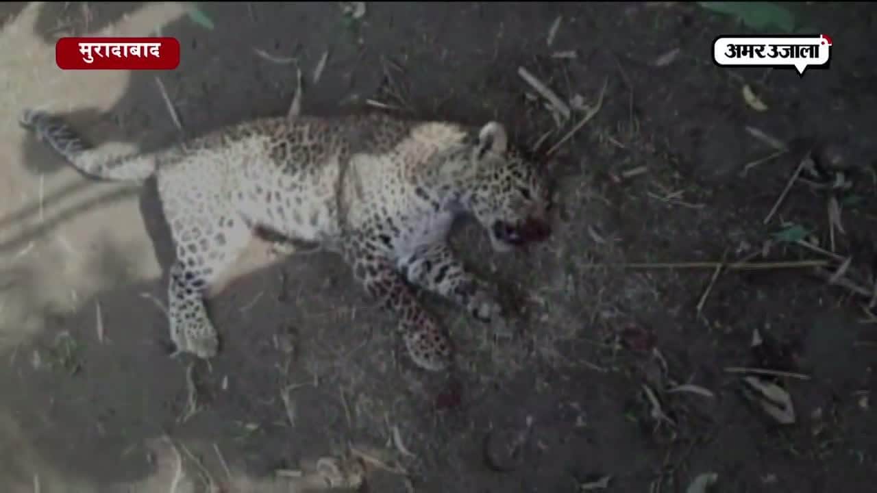 मुरादाबाद