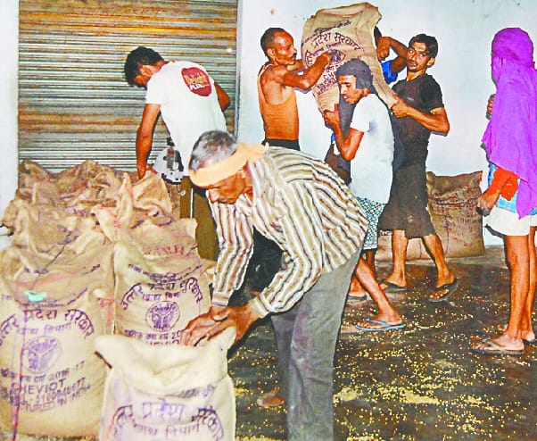 Wheat arrival increased at government procurement centers