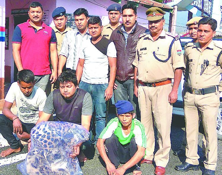 Three smugglers arrested with leopard skins