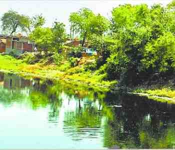 Heavy loss due to pollution