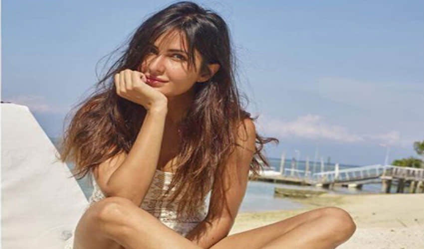 katrina kaif enjoying jungle safari in rajasthan shares pic on social media fans asked where is vicky kaushal