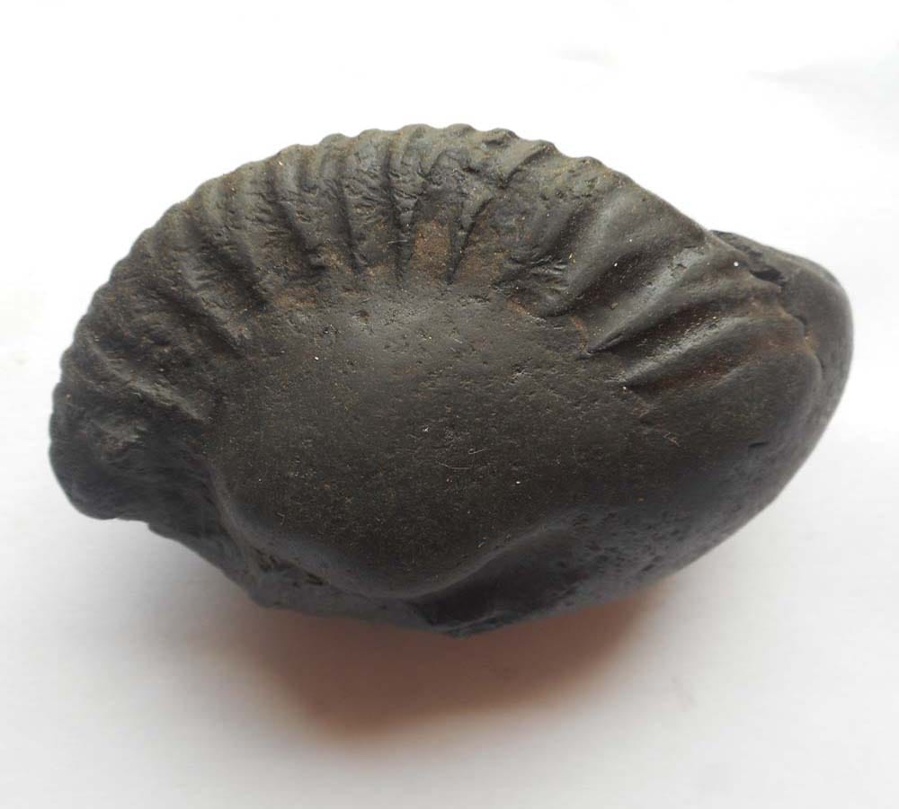 devi tulsi cursed lord vishnu turn into a black stone 