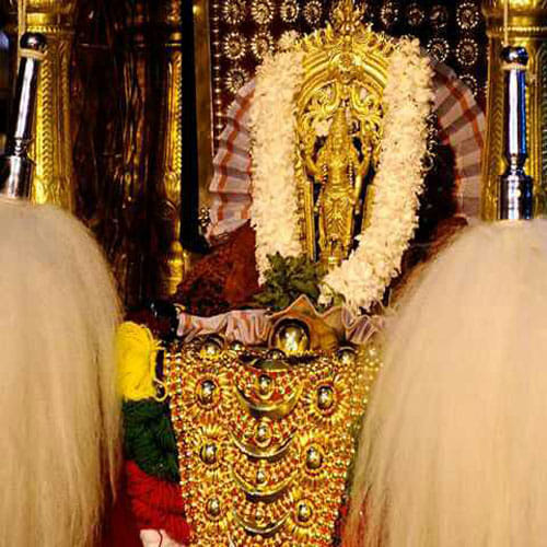 Elephants are donated by devotees to the temple