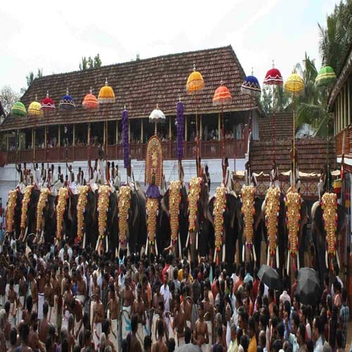 Elephants are donated by devotees to the temple
