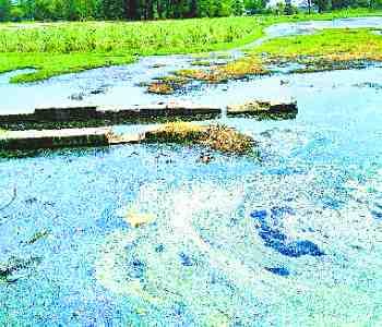 crops ruins to the mill,s dirty water 