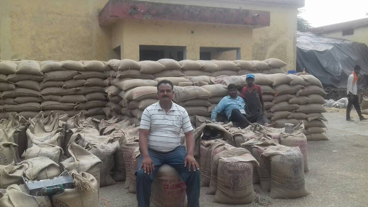Millions of grains fed from negligence of the system