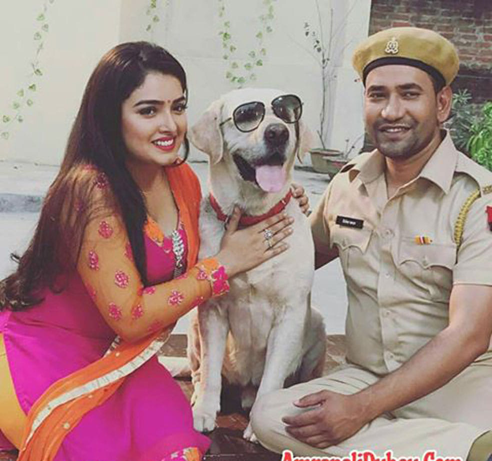 'Nirhua' and 'Amrapali's superhit couple', rising in heat in May