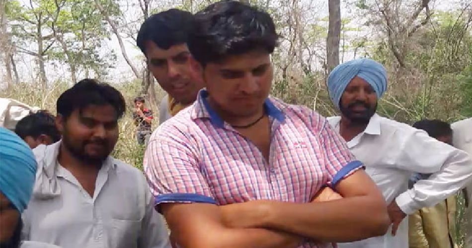 python swallows a goat at yamunanagar of haryana