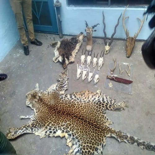 The print of the international shooter's home DRI, got illegal, 17 hours of operation
