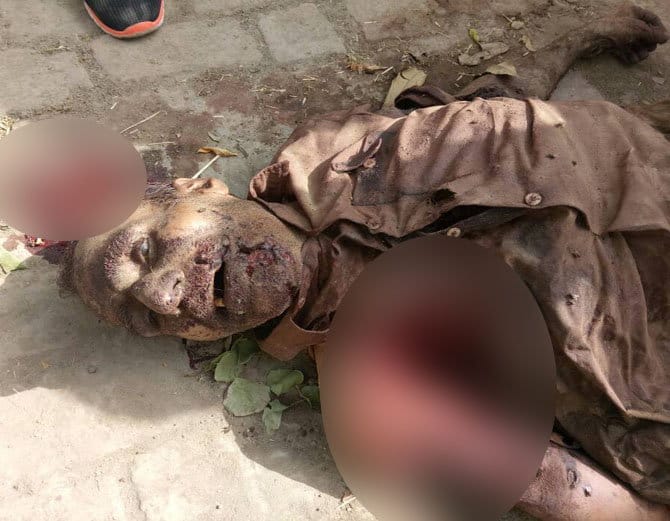 rottweiler dog killed a man in Panipat