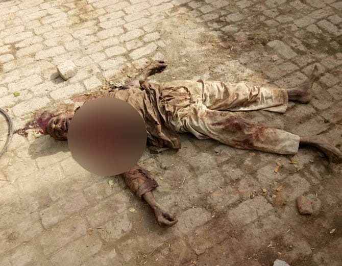 rottweiler dog killed a man in Panipat