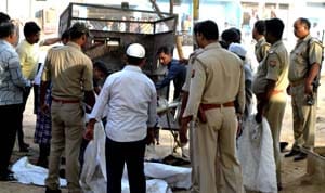Attala trying to spoil the environment by cutting bovine cattle in Atala