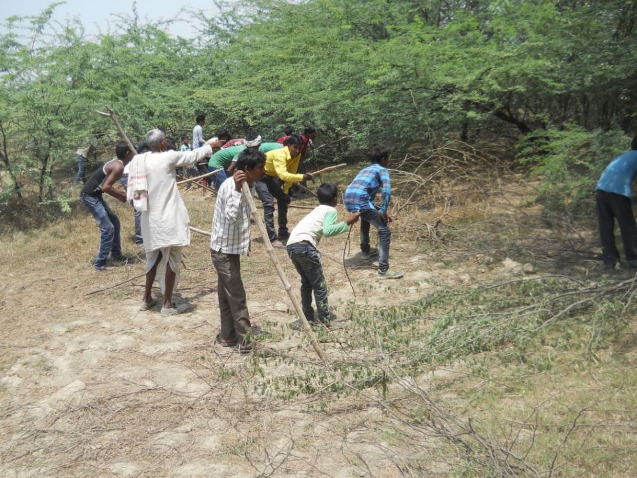 संग्रह अमीनो ने किया धरना प्रदर्शन